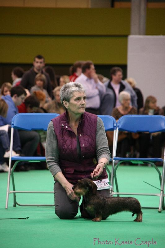 Crufts2011_2 1424.jpg